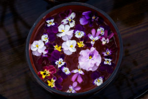 季節の花の写真