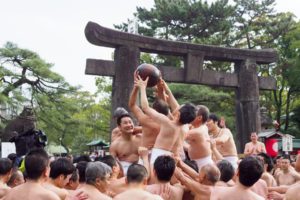 玉せせりの写真
