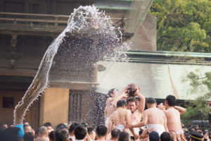 玉せせりの写真
