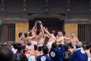 玉せせりの写真