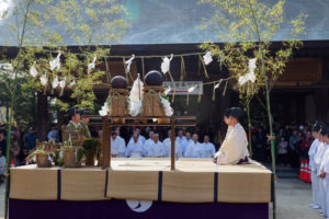 玉せせりの写真