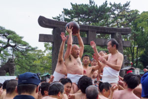 玉せせりの写真