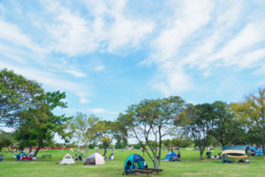 園内の風景写真