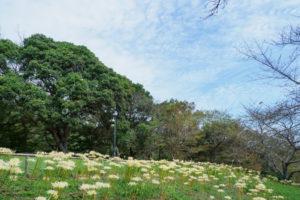 園内の風景写真