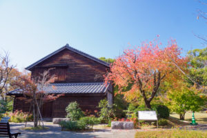 紅葉の写真