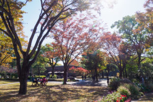 紅葉の写真