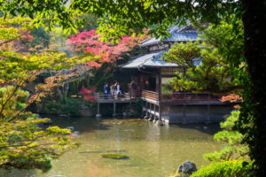 紅葉の写真