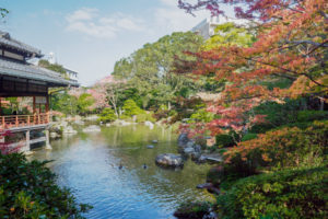 紅葉の写真