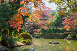 紅葉の写真