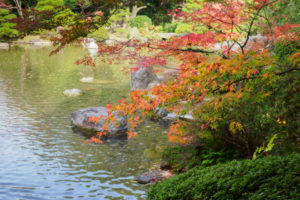 紅葉の写真
