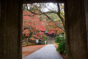 紅葉の写真