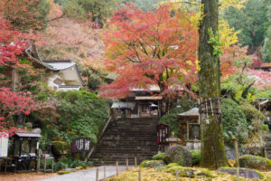 紅葉の写真