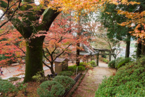 紅葉の写真