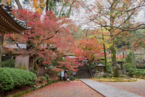 紅葉の写真