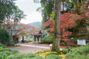 紅葉の写真