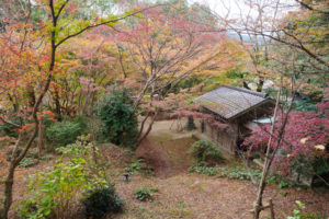 紅葉の写真