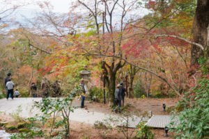 紅葉の写真