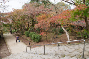 紅葉の写真