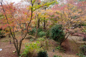 紅葉の写真