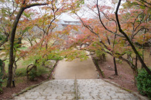 紅葉の写真
