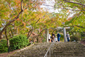 紅葉の写真