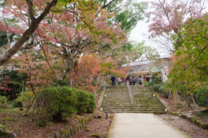 紅葉の写真