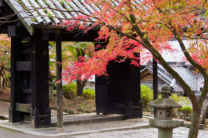 紅葉の写真