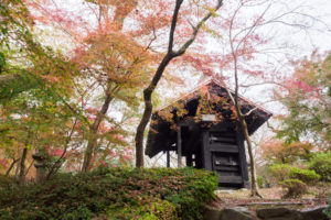 紅葉の写真