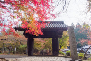 紅葉の写真