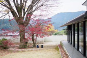 紅葉の写真