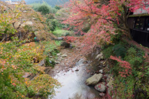 紅葉の写真