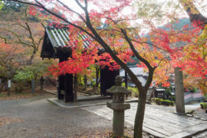紅葉の写真