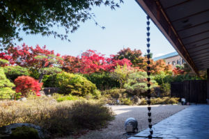 紅葉の写真