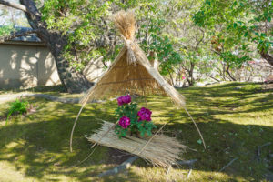 筥崎宮花庭園　冬ぼたん