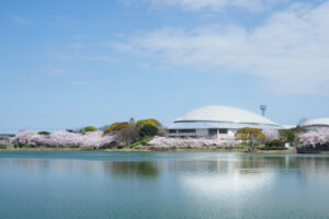 駕与丁公園の桜の写真