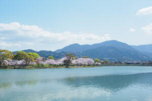 駕与丁公園の桜の写真