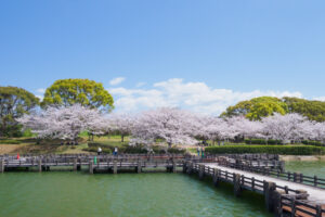 駕与丁公園の桜の写真