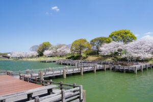 駕与丁公園の桜の写真