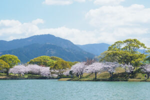 駕与丁公園の桜の写真