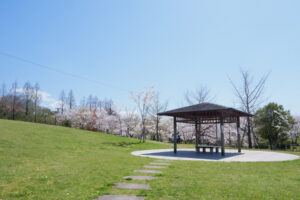 駕与丁公園の桜の写真