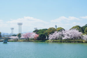 駕与丁公園の桜の写真