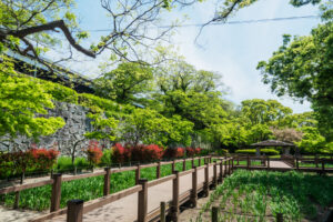 舞鶴公園の新緑の写真