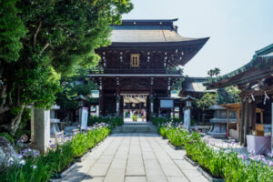 宮地嶽神社の花菖蒲の写真