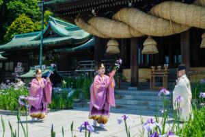 宮地嶽神社の菖蒲初刈り神事の写真