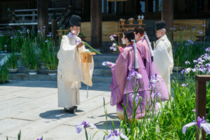 宮地嶽神社の菖蒲初刈り神事の写真