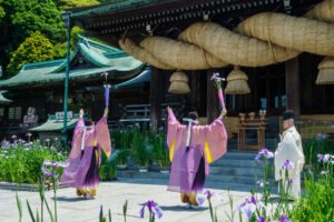宮地嶽神社の菖蒲初刈り神事の写真