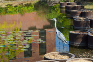 石橋文化センターの園内の写真