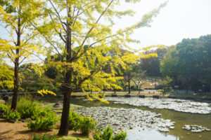 石橋文化センターの紅葉の写真