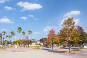 海の中道海浜公園の紅葉の写真