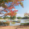 秋バラと紅葉　海の中道海浜公園（2021年11月04日）